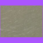 Mississippi River.jpg